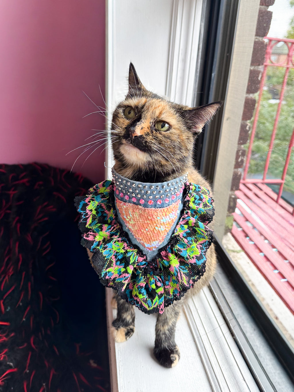 Pet Neon Lace and Sequins Fancy Bandana
