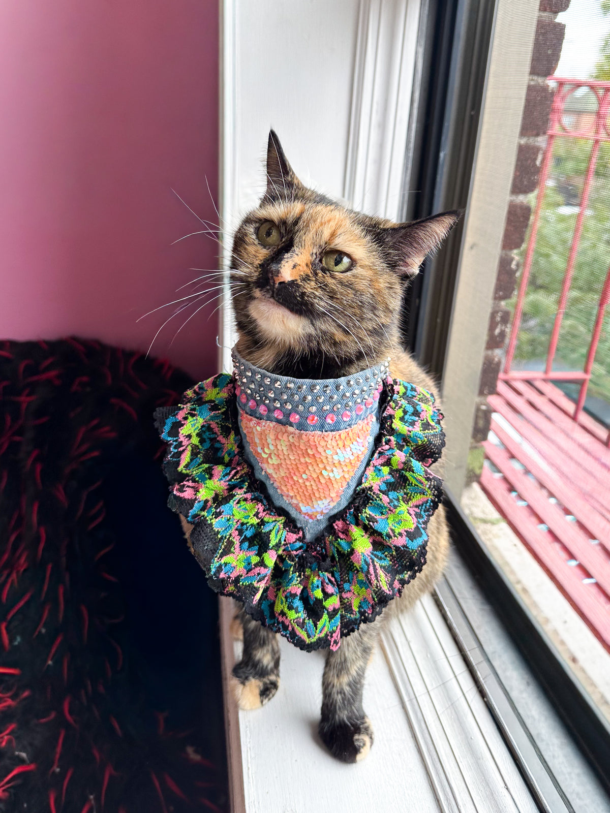 Pet Neon Lace and Sequins Fancy Bandana