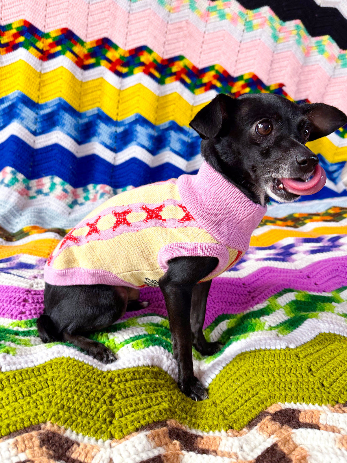 Pet Sweater Lace Vibe Yellow