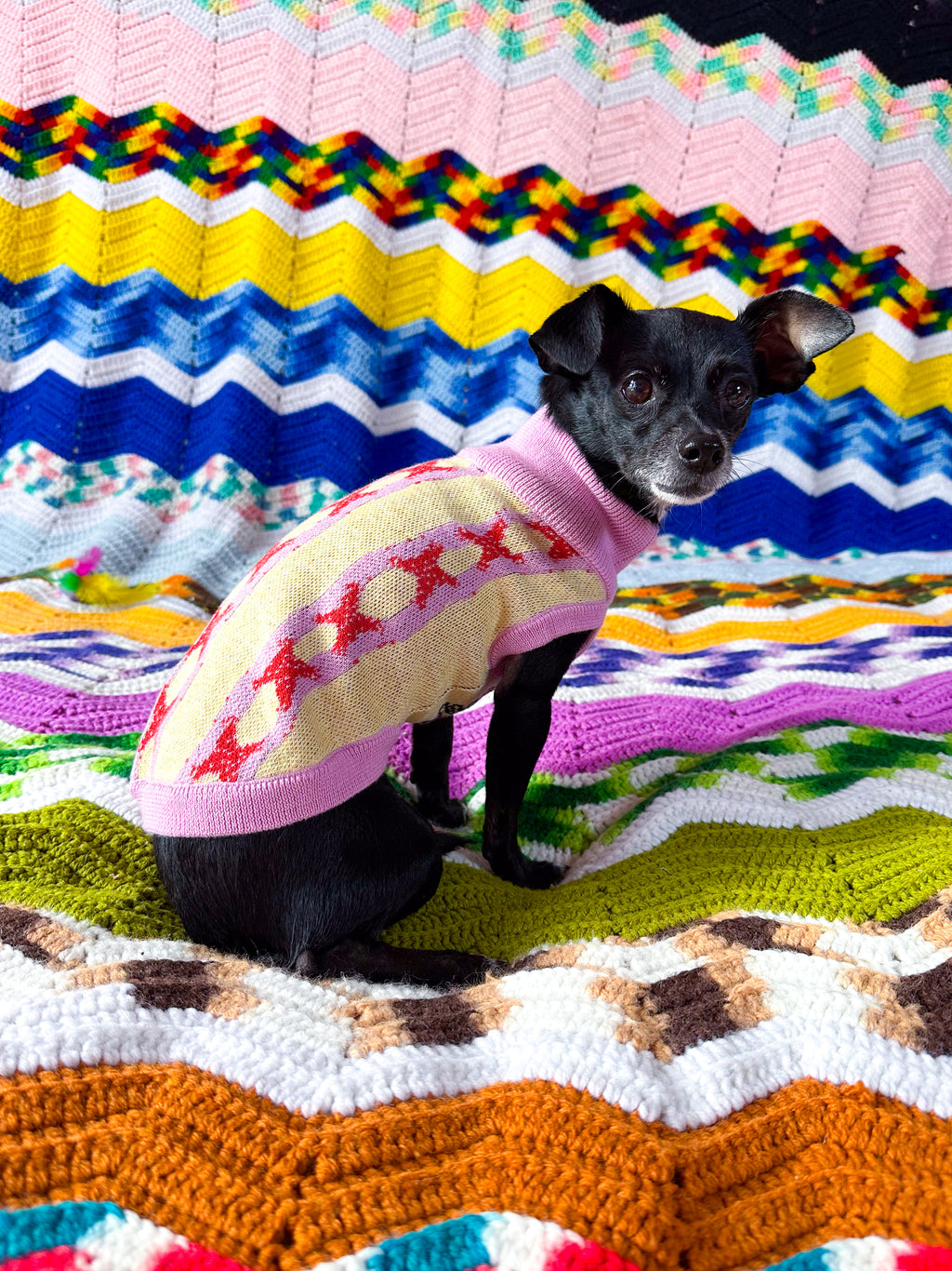 Pet Sweater Lace Vibe Yellow