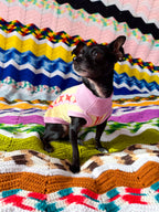 Pet Sweater Lace Vibe Yellow
