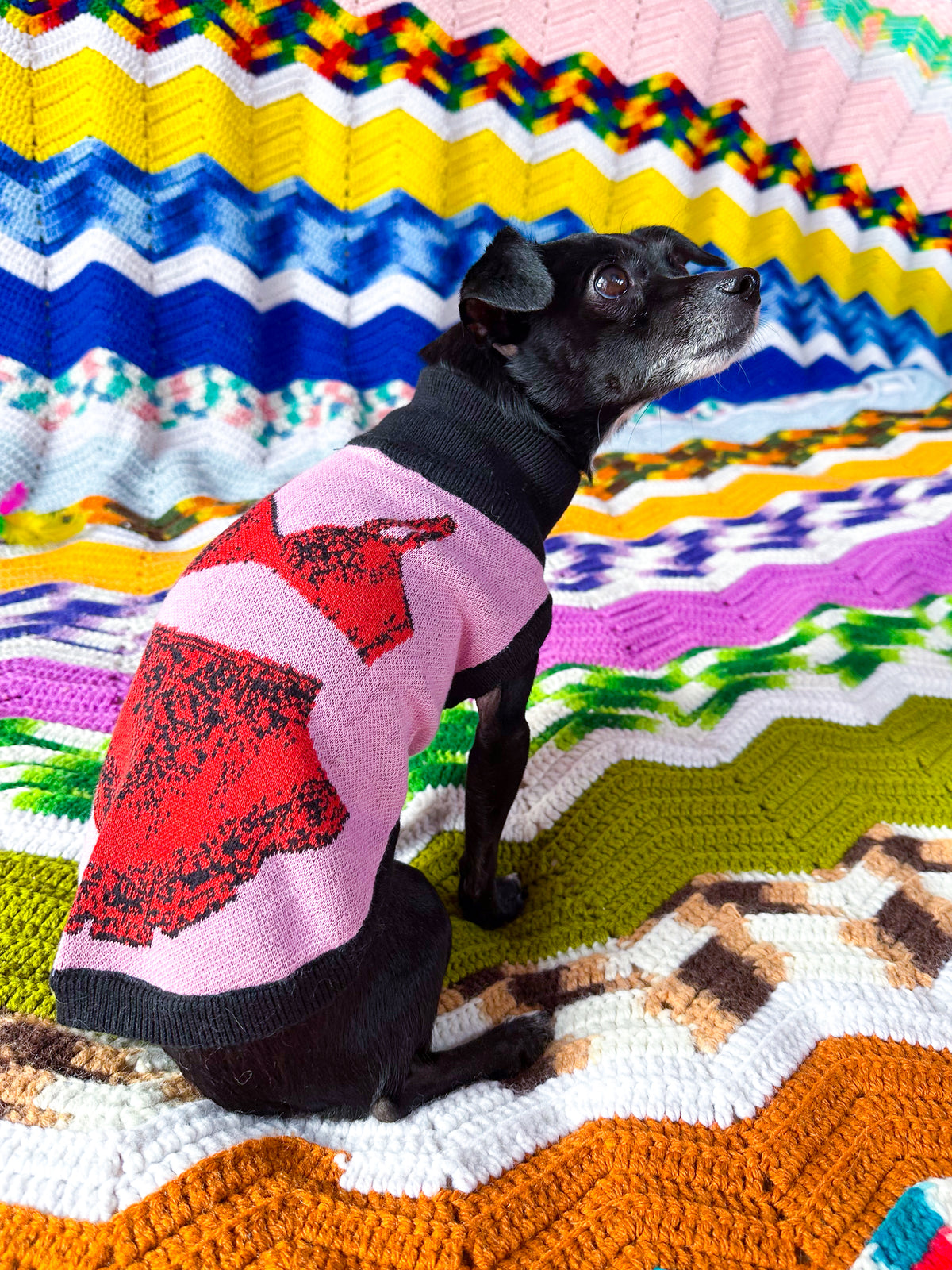 Pet Sweater Bra Skirt Vibe Pink