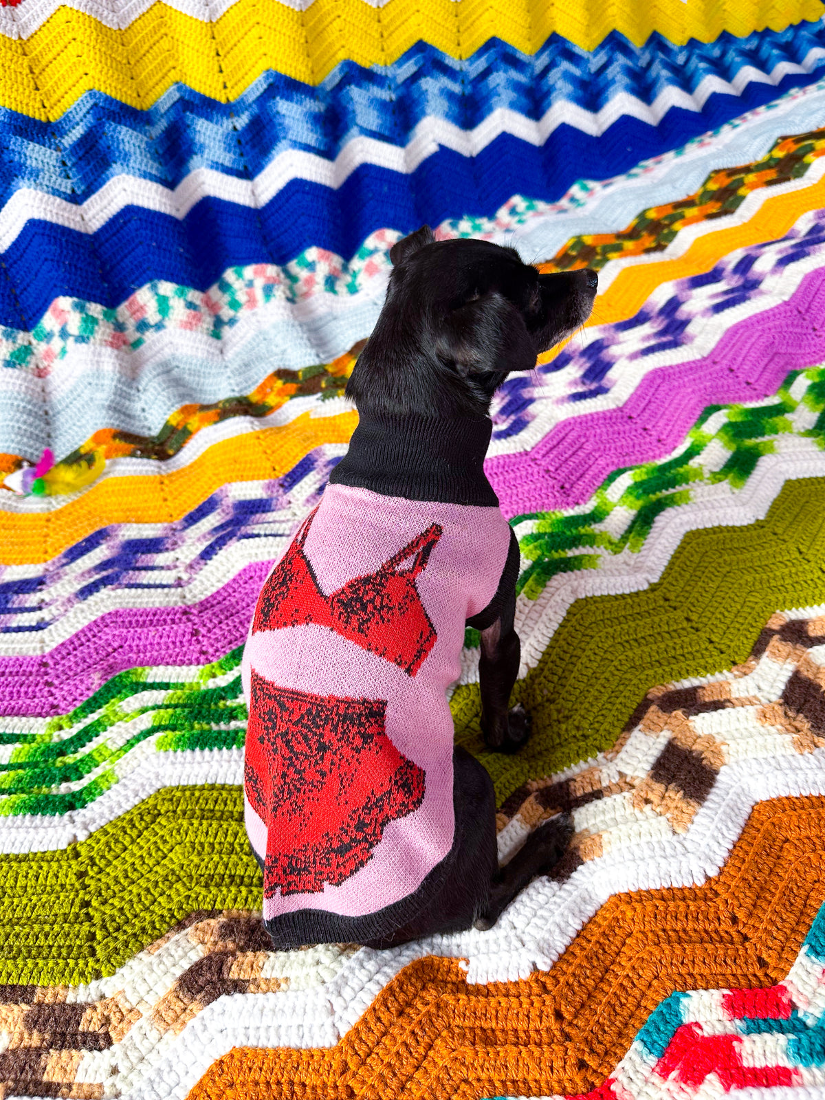Pet Sweater Bra Skirt Vibe Pink