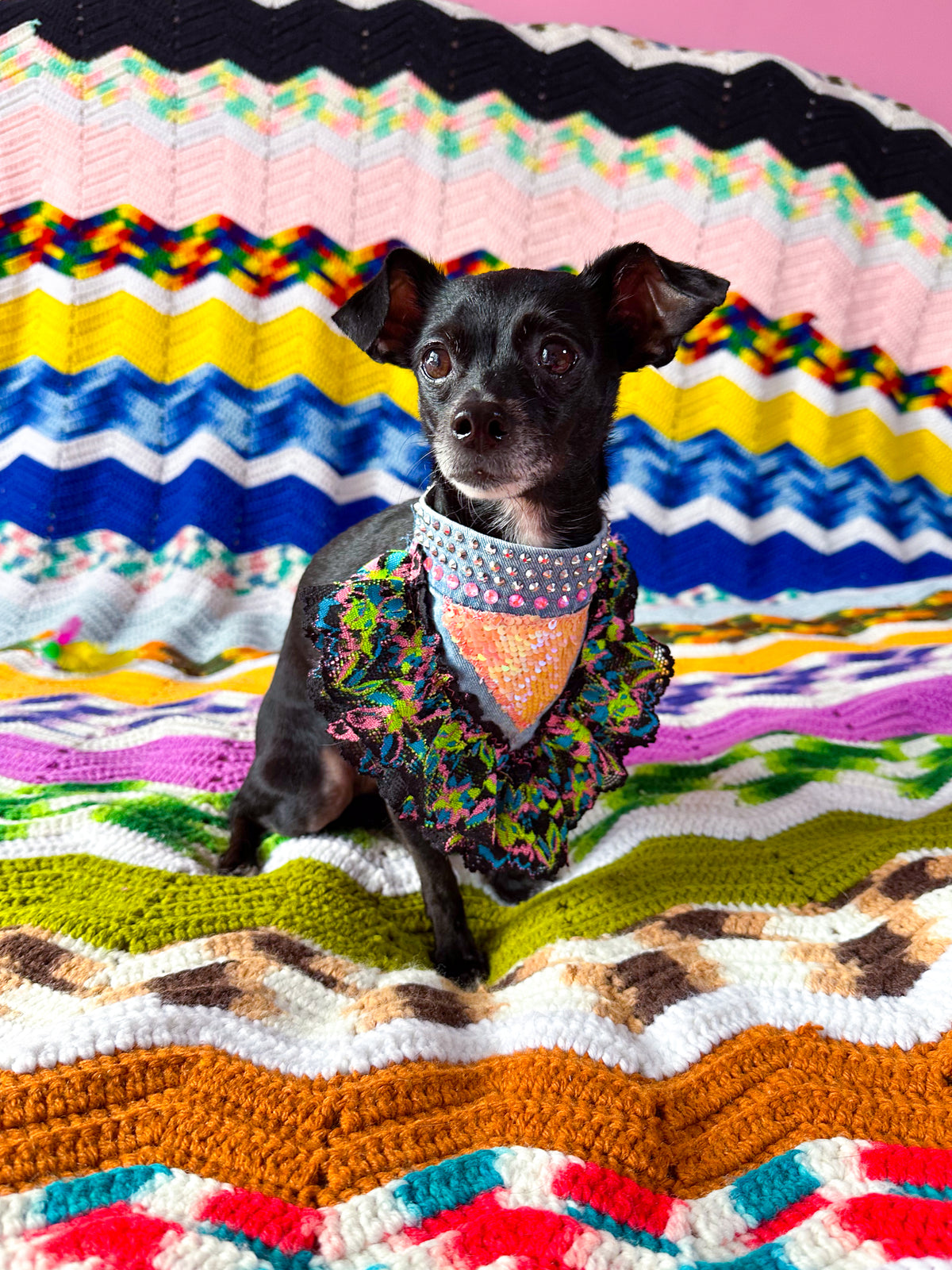 Pet Neon Lace and Sequins Fancy Bandana